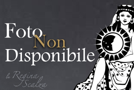 Immagine non disponibile